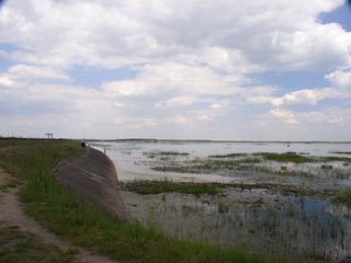 Wycieczki rowerowe - Jezioro Siemianowskie